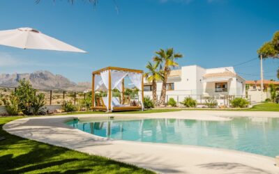 Quelle toiture pour une pergola ? Guide complet et comparatif