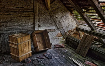 Traitement nuisible bois