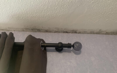 Traces d’humidité sur les murs et plafonds